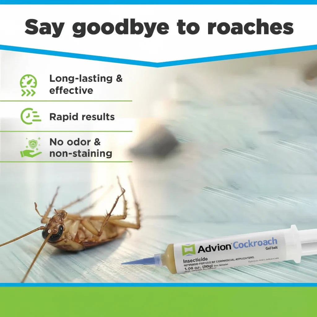 Indoor Pest Control Gel Syringe Cockroach Elimination