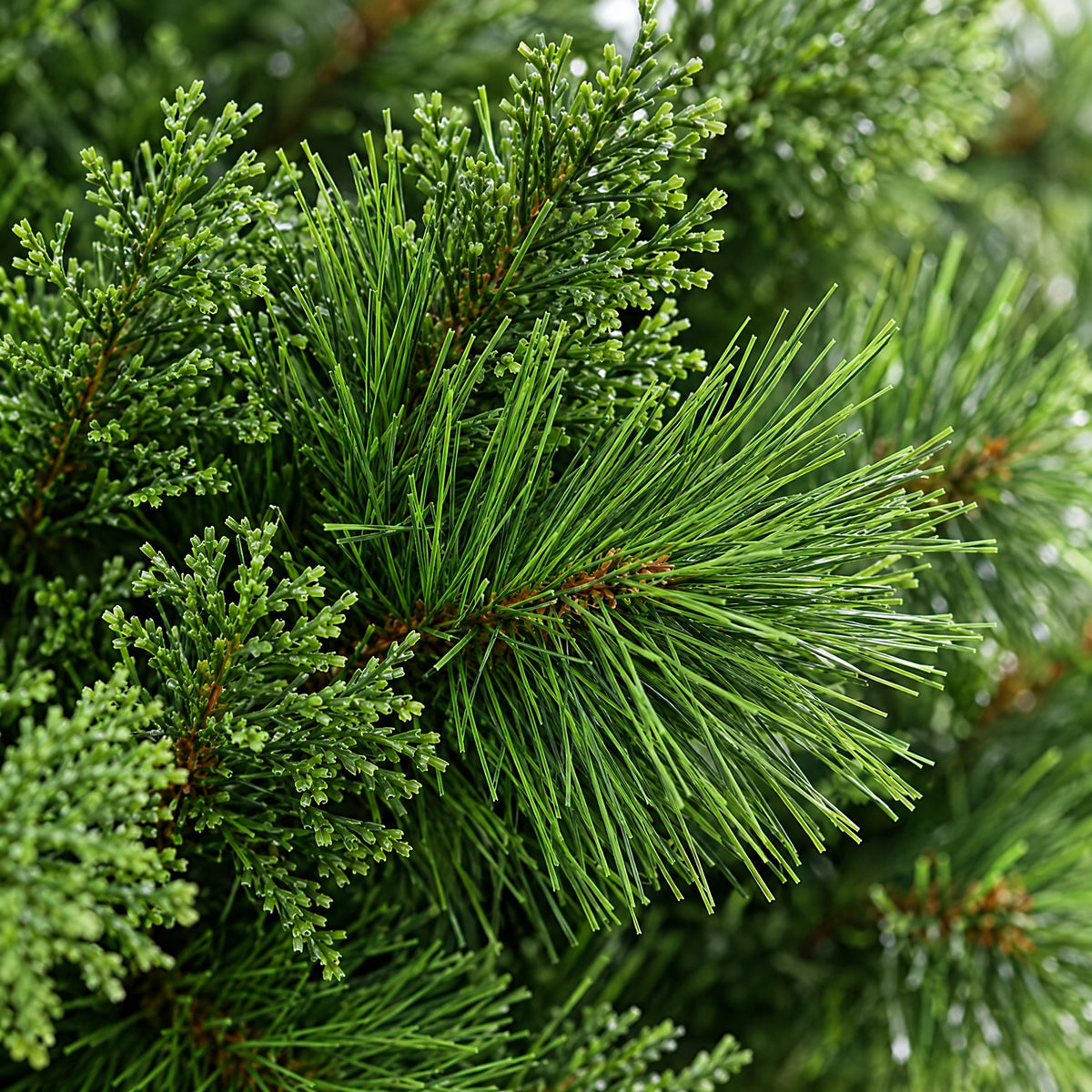 Artificial Christmas Tree 4ft, 5ft, 6ft – Full Pine with Mixed PET/PVC Tips, Metal Stand
